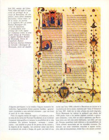 LAMINA V33363: Foli 205 del Llibre Verd segle XIV