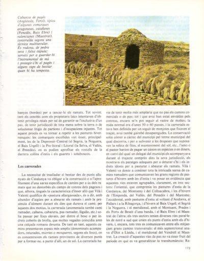 LAMINA V33356: Cabanya de pages, Anglesola