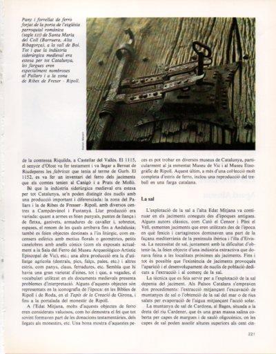 LAMINA V33372: Pany de la porta de l'esglesia de Santa Maria del Coll