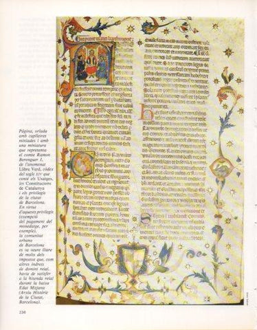 LAMINA V33375: El comte Ramon Berenguer I, Llibre Verd