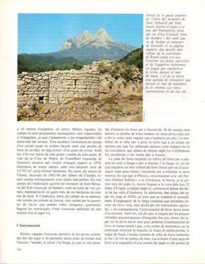 LAMINA V33355: Paret exterior del monastir de Sant Sebastia del Sull