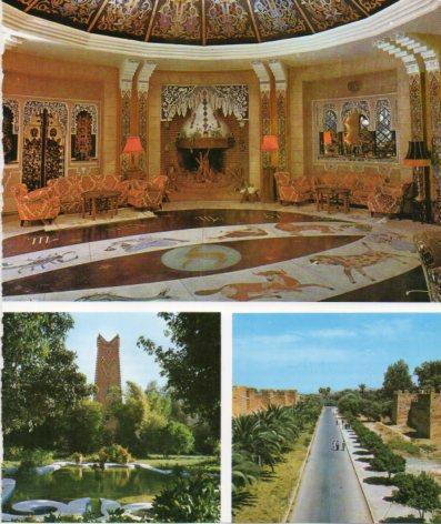 LAMINA V33256: Salon Hotel La Gazelle d'Or y murallas de Taroudannt, Marruecos