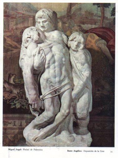 LAMINA V33228: Piedad de Palestrina por Miguel Angel