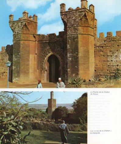 LAMINA V33242: Puerta y ruinas de la Chellah de Rabat
