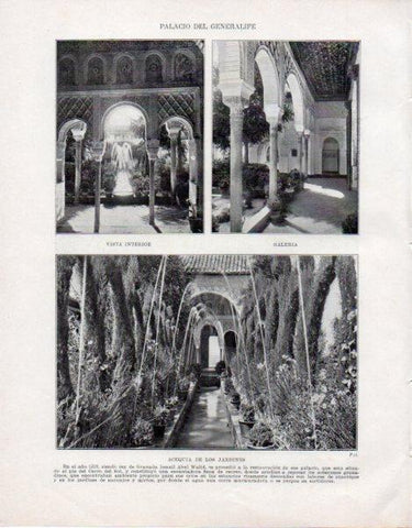 LAMINA V33628: Interior, galeria y acequia del Palacio del Generalife