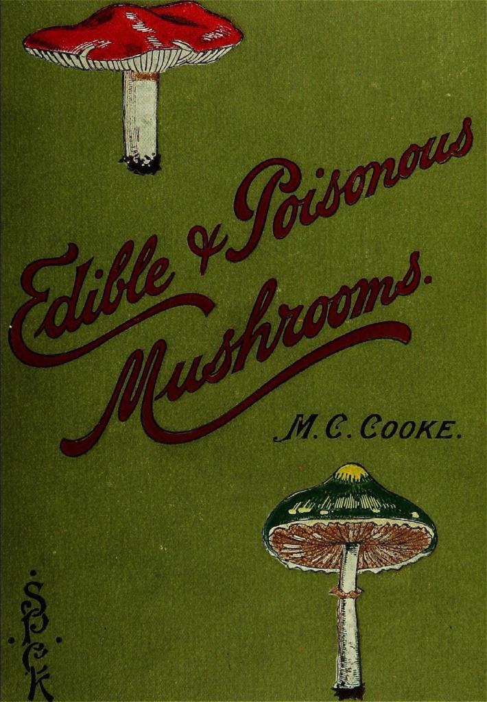 Poster DIN 4 numero 1312:  Edible and poisonous mushrooms:. London,E. & J. B. Young,1894.