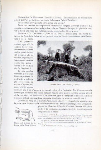 LAMINA V34670: Dolmen Els Tres Caires a Fitor