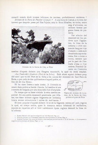 LAMINA V34671: Dolmen de la Serra de Calç a Fitor