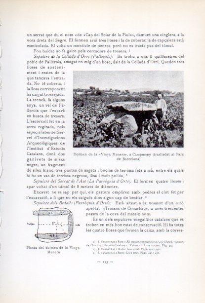 LAMINA V34672: Dolmen de la Vinya Munera a Capmany