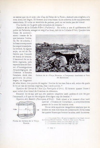 LAMINA V34672: Dolmen de la Vinya Munera a Capmany