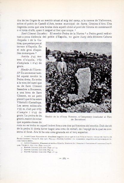LAMINA V34675: Menhir de la Vinya Munera a Capmany