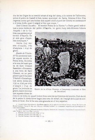 LAMINA V34675: Menhir de la Vinya Munera a Capmany