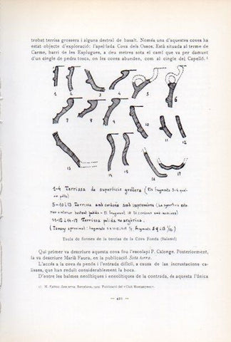 LAMINA V34684: Taula de formes de la terrisa de la Cova Fonda (Salamo)