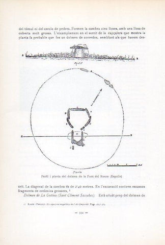 LAMINA V34664: Perfil i planta del dolmen de la Font del Roure, Espolla