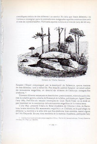 LAMINA V34649: Dolmen de Vilalba Sasserra