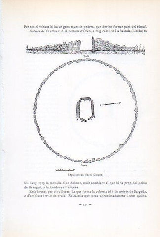 LAMINA V34657: Sepulcre de Sarri, dibuix