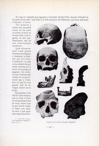 LAMINA V34703: Cranis de la Cova Fonda (Salomo)