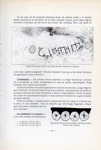 LAMINA V34708: Planta poblat del Puig de Sant Antoni de Calaceit