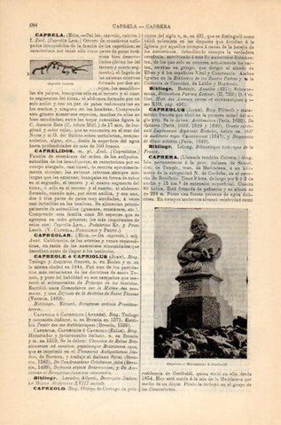LAMINA V35157: Monumento a Garibaldi en Caprera