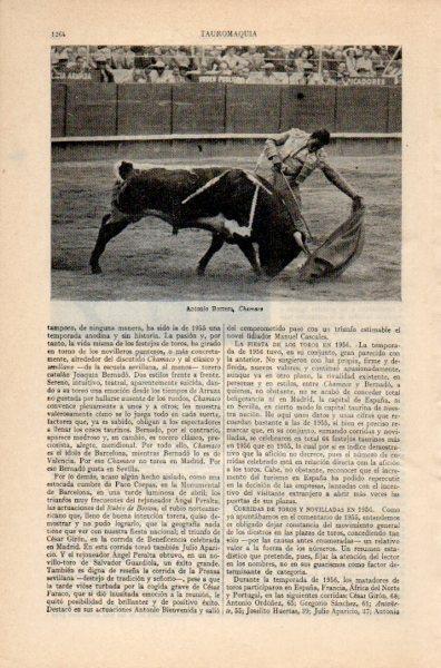 LAMINA V35067: Antonio Borrero, Chamaco
