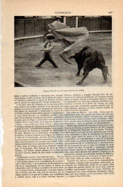 LAMINA V35066: Joaquin Bernado