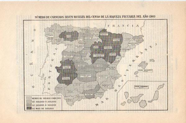 LAMINA V35280: Mapa de España del numero de carneros en 1909