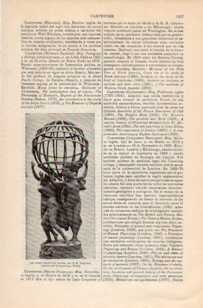 LAMINA V35256: Las cuatro partes del mundo por J. B. Carpeaux