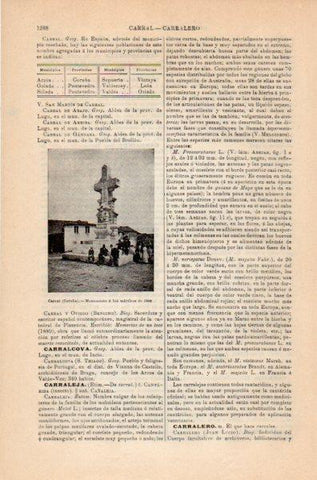 LAMINA V35261: Monumento a los martires en Carral, La Coruña