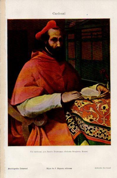 LAMINA V35208: Un cardenal por Jacobo Pontormo