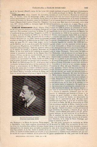 LAMINA V35240: San Carlos Borromeo por Crespi