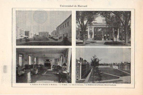 LAMINA V34880: Universidad de Harvard