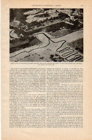 LAMINA V35026: Japoneses haciendo cola para saludar al Emperador, vista aerea