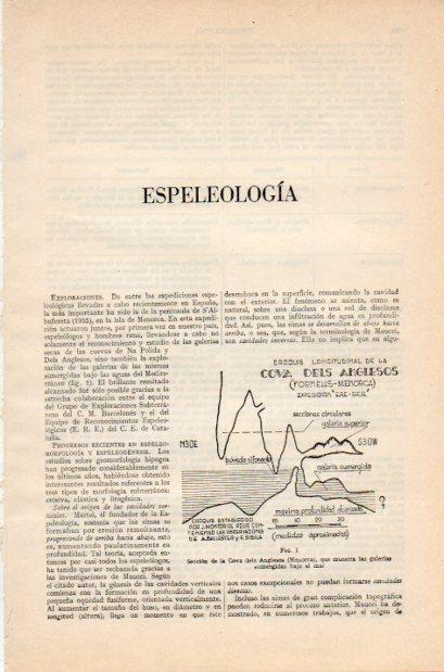 LAMINA V34964: Seccion de la Cova dels Anglesos, Menorca