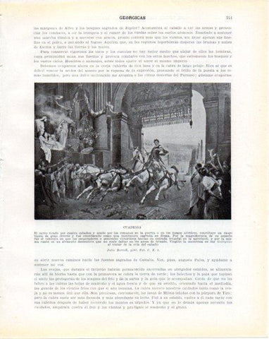 LAMINA V34351: Cuadriga por Julio Borrell