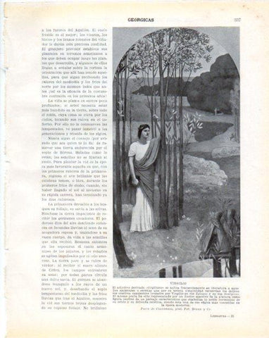 LAMINA V34349: Virgilio por Puvis de Chavannes