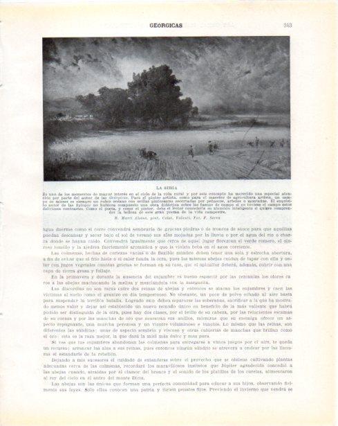 LAMINA V34352: La siega por R. Marti Alsina
