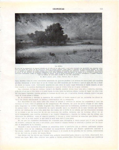 LAMINA V34352: La siega por R. Marti Alsina