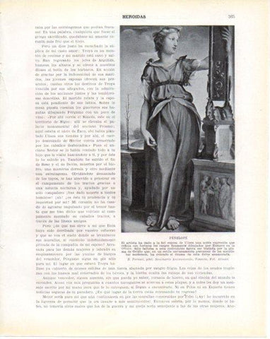 LAMINA V34363: Penelope por B. Peruzzi