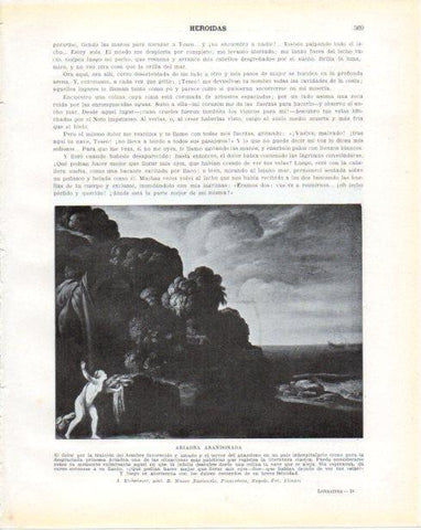 LAMINA V34365: Ariadna abandonada por A. Elsheimer