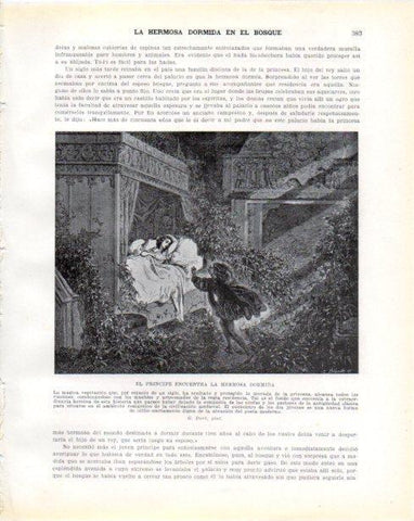LAMINA V34372: El principe encuentra la hermosa dormida por G. Dore