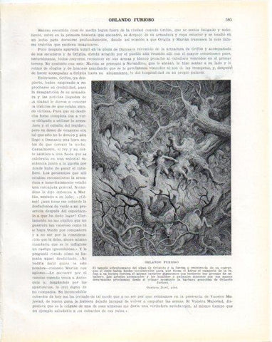 LAMINA V34480: Orlando furioso por Gustavo Dore