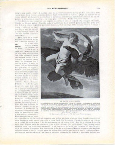 LAMINA V34305: El rapto de Ganimedes por Le Sueur