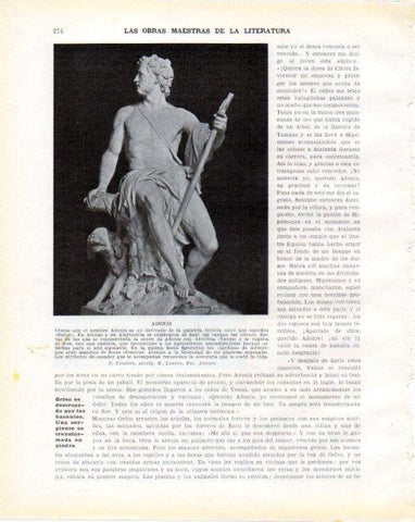 LAMINA V34318: Adonis por N. Coustou