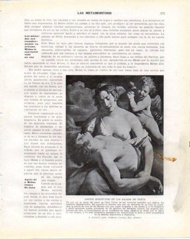 LAMINA V34319: Adonis moribundo en los brazos de Venus por A. Caracci