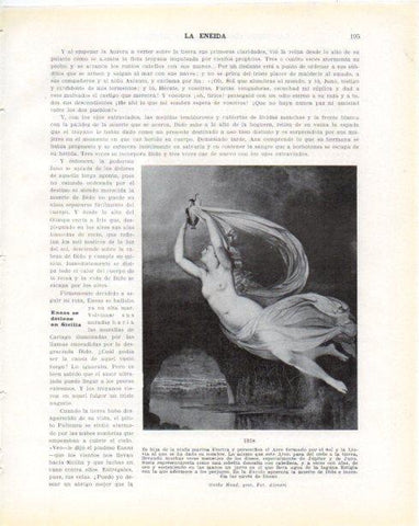 LAMINA V34264: Iris por Guido Head